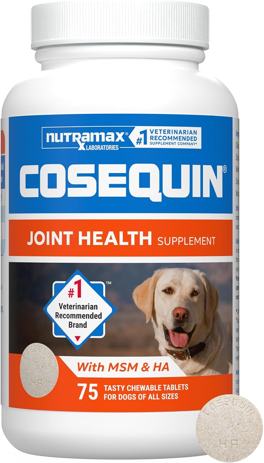 Nutramax Cosequin Joint Supplement for Dogs, MSM+HA, Chew Tablets, 250ct