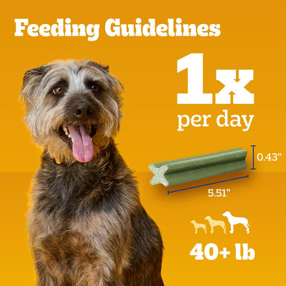 Pedigree Dentastix Large Breed Dental Dog Treats, Variety, 51 Count