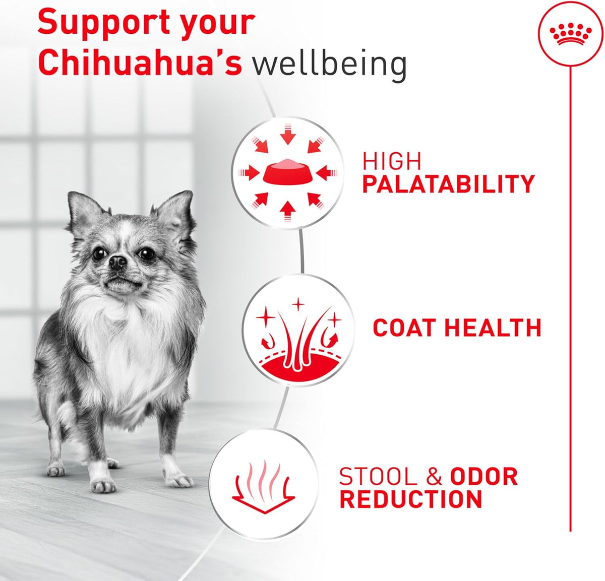 Royal Canin Chihuahua Adult Dog Food: A Breed-Specific Formula