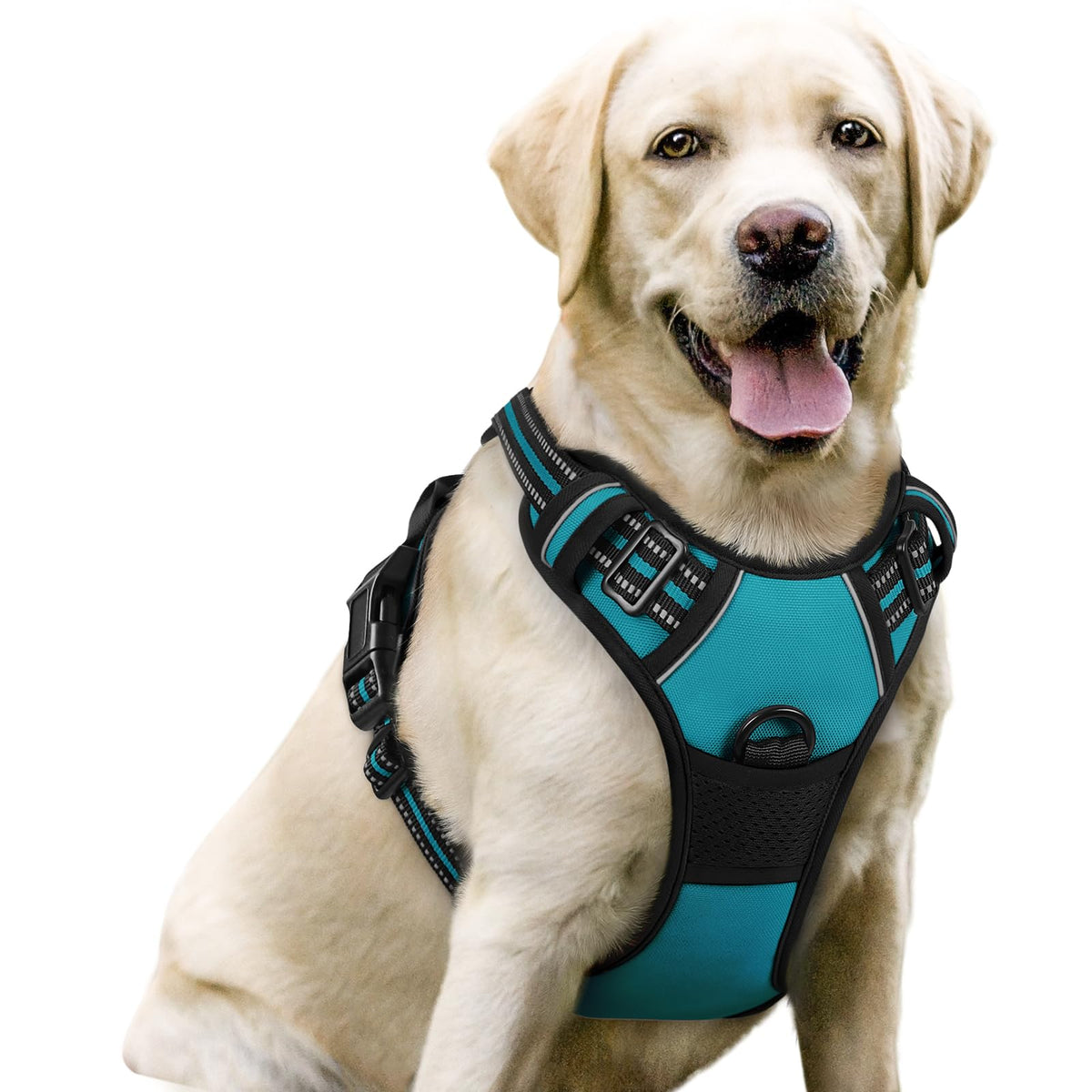 rabbitgoo Dog Harness, No Pull for Large Dogs with 2 Leash Clips, Pet Vest