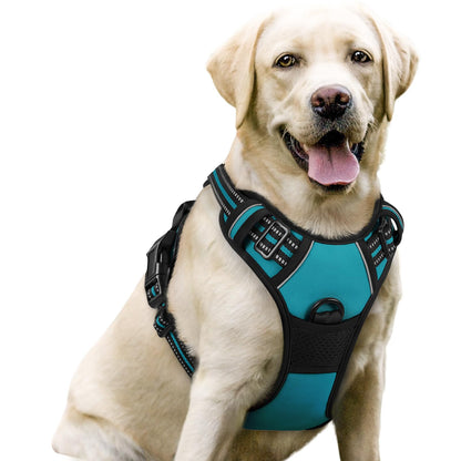 rabbitgoo Dog Harness, No Pull for Large Dogs with 2 Leash Clips, Pet Vest