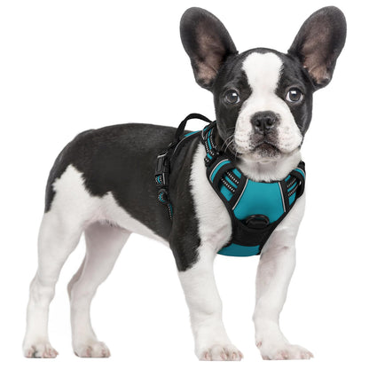 rabbitgoo Dog Harness, No Pull for Large Dogs with 2 Leash Clips, Pet Vest
