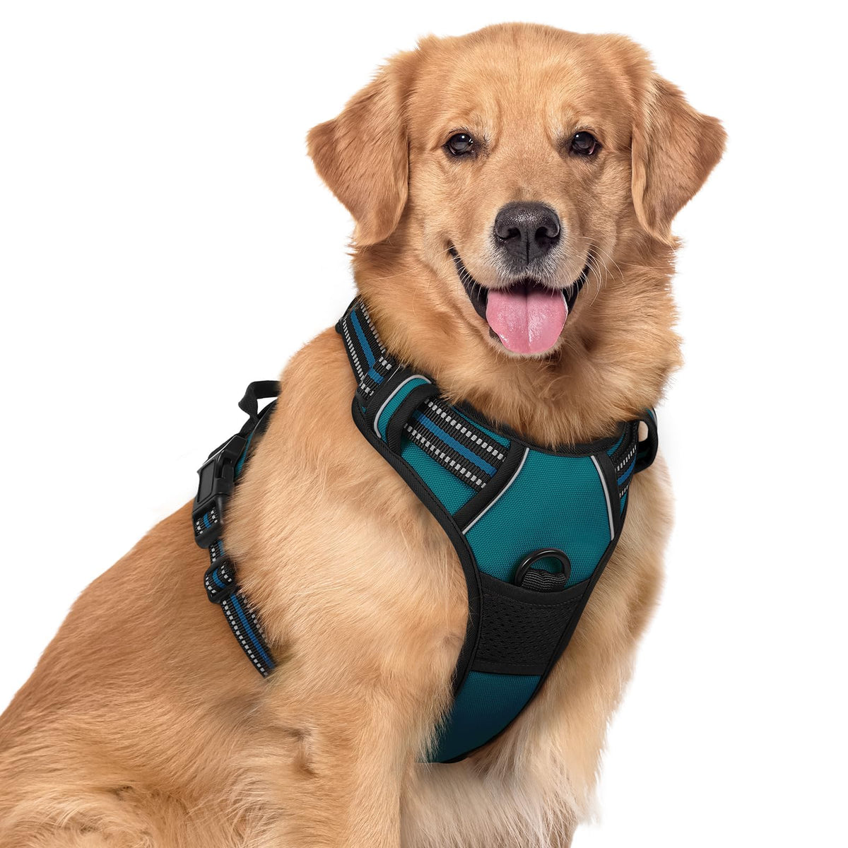 rabbitgoo Dog Harness, No Pull for Large Dogs with 2 Leash Clips, Pet Vest