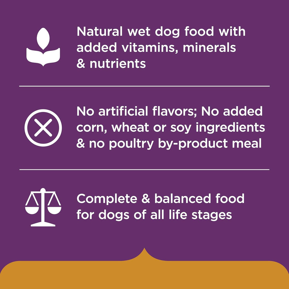Nutrish Hearty Beef Stew Wet Dog Food, 8 oz. Tub (Pack of 8) (Rachael Ray)