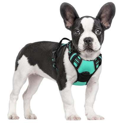 rabbitgoo Dog Harness, No Pull for Large Dogs with 2 Leash Clips, Pet Vest