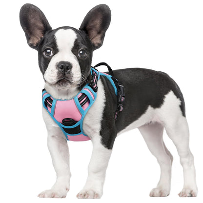 rabbitgoo Dog Harness, No Pull for Large Dogs with 2 Leash Clips, Pet Vest