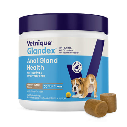 Vetnique Glandex for Dogs Anal Gland Chews 120ct Pumpkin, Digestive Enzymes