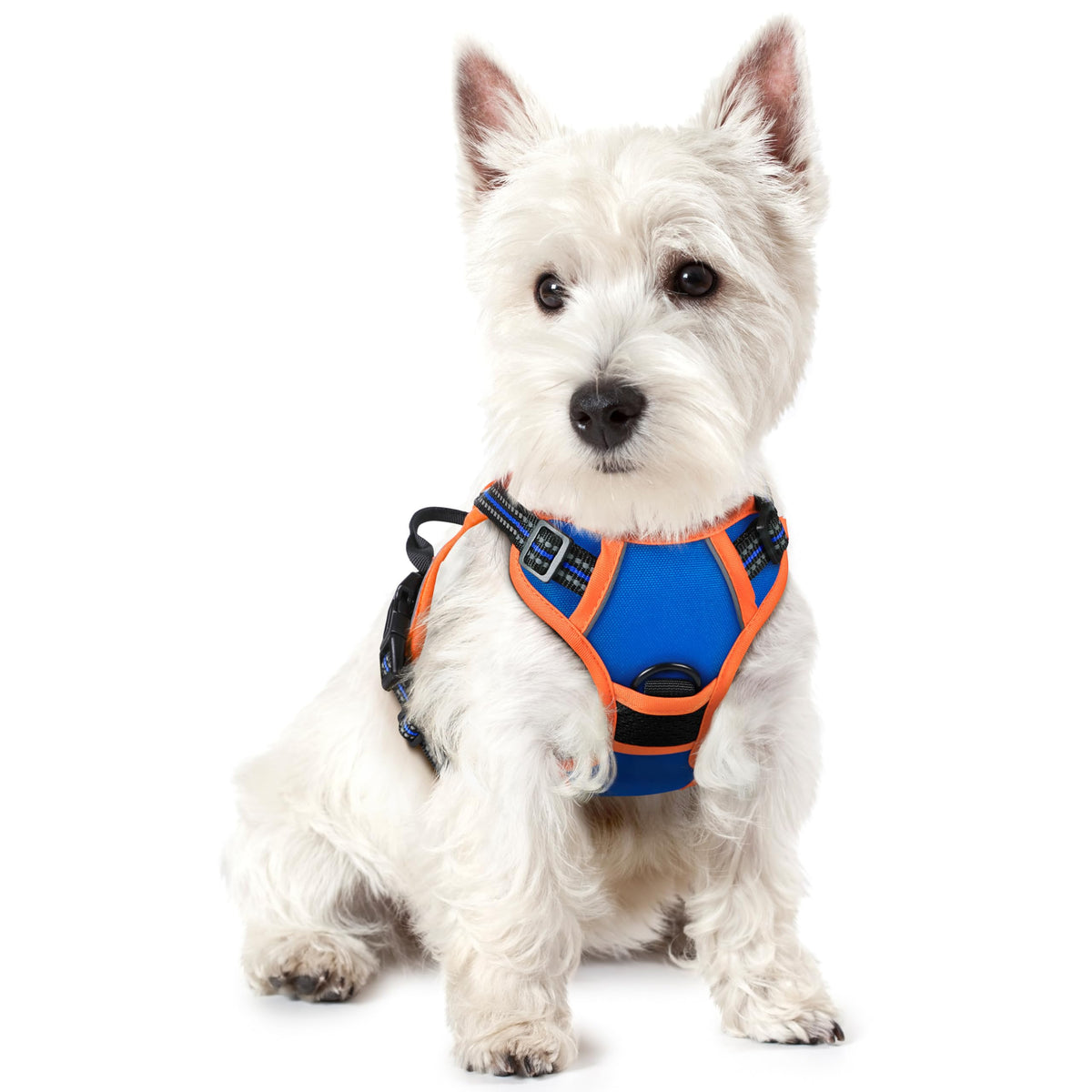rabbitgoo Dog Harness, No Pull for Large Dogs with 2 Leash Clips, Pet Vest