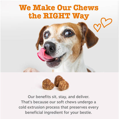 Zesty Paws Dog Vitamins - Dog Multivitamins with Hemp - Chicken, 90 Ct
