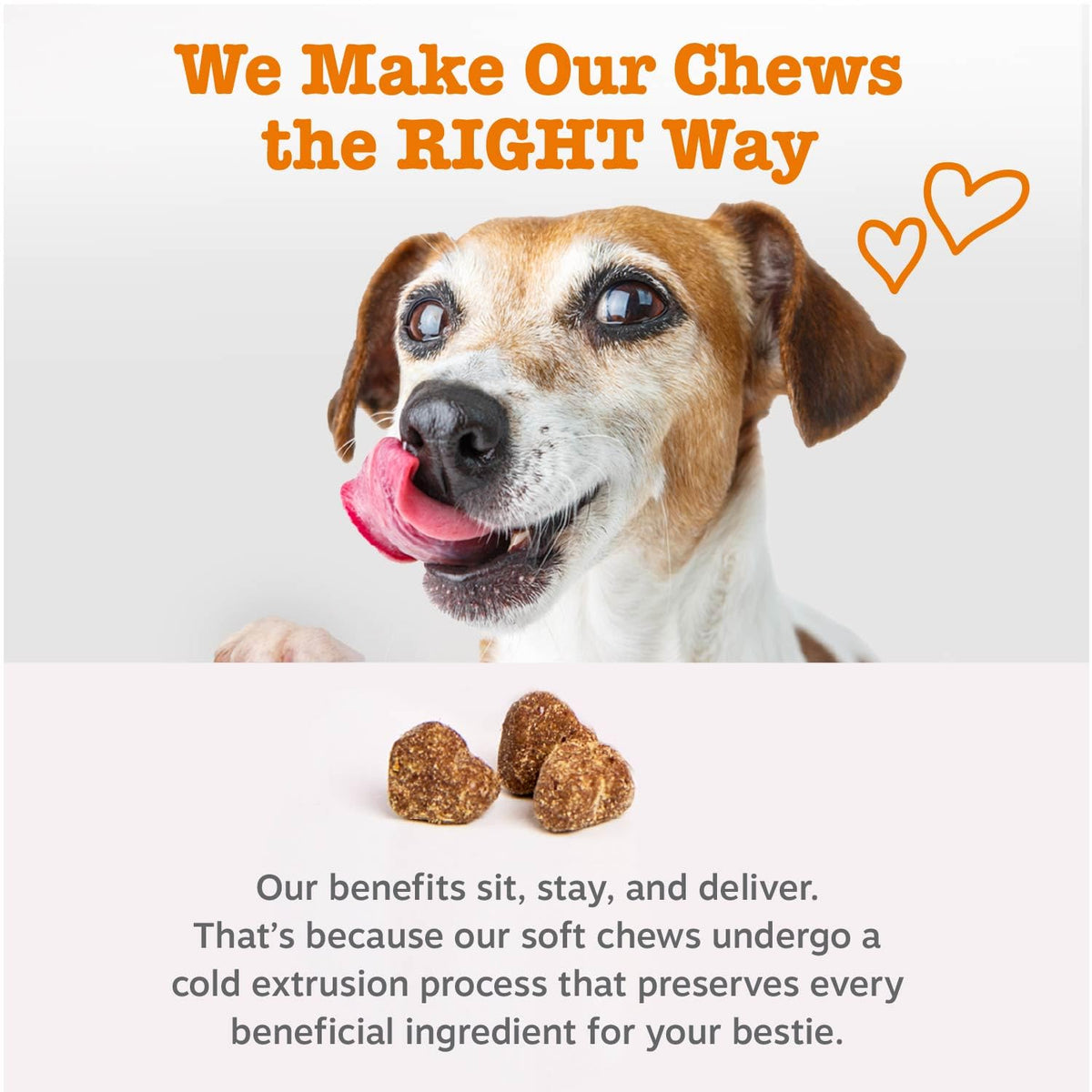 Zesty Paws Dog Vitamins - Dog Multivitamins with Hemp - Chicken, 90 Ct