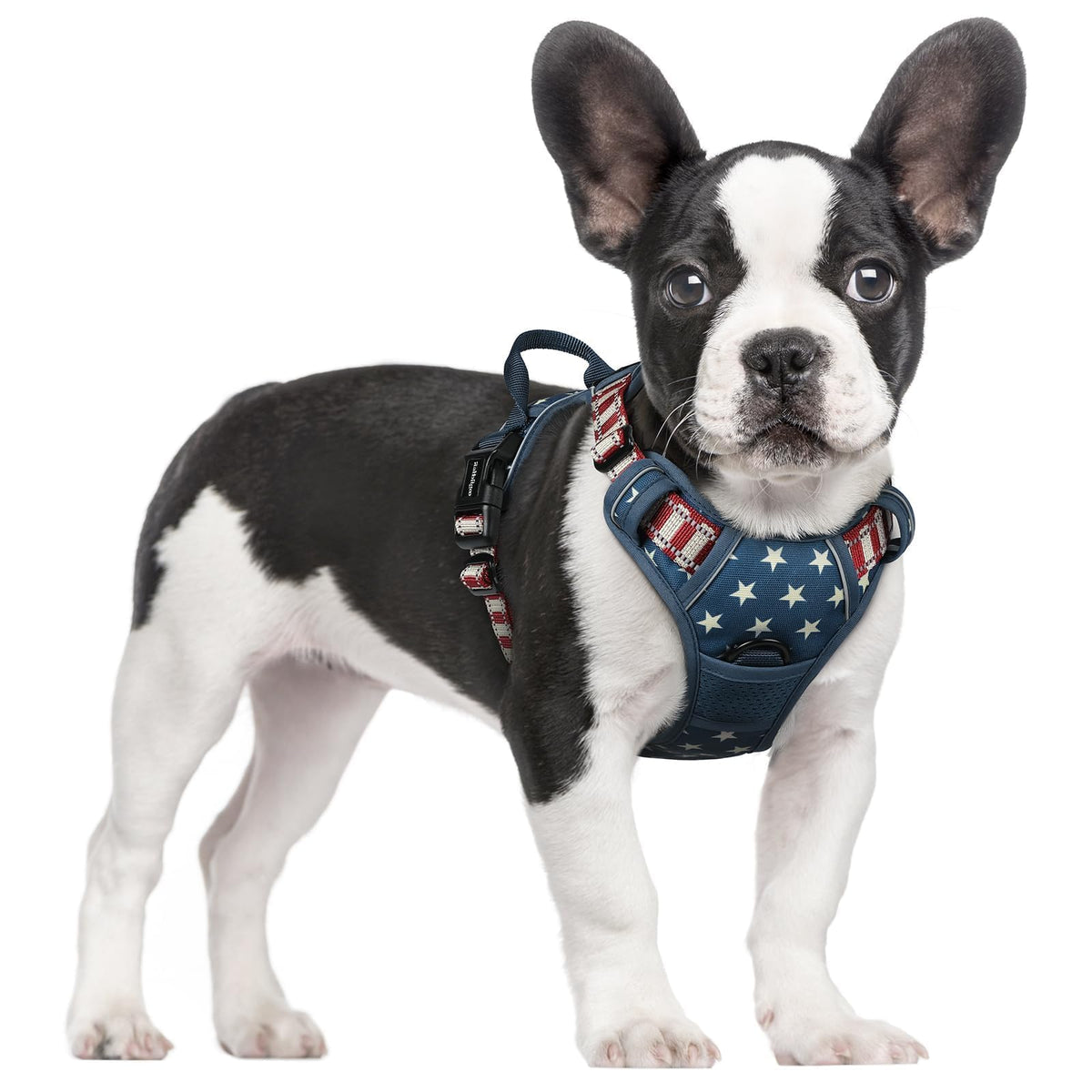 rabbitgoo Dog Harness, No Pull for Large Dogs with 2 Leash Clips, Pet Vest