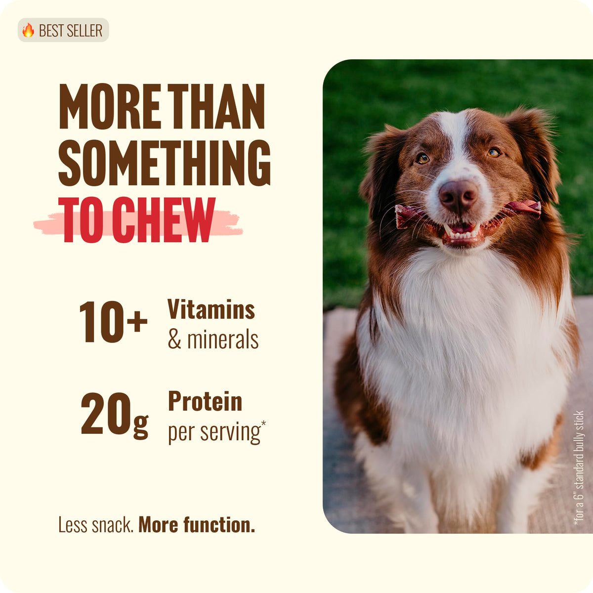 Natural Farm Odor-Free Bully Sticks (4-8”, 16oz) ALL-NATURAL Long-Lasting Chews, 100% Beef Pizzle, Grass-Fed, Grain-Free, Hormone-Free, Protein for Muscle Development & Energy, Perfect For Medium Dogs