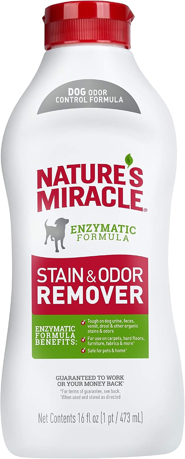 Nature’s Miracle Dog Stain & Odor Remover, Enzymatic Cleaner, 32 oz