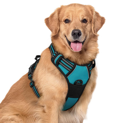 rabbitgoo Dog Harness, No Pull for Large Dogs with 2 Leash Clips, Pet Vest