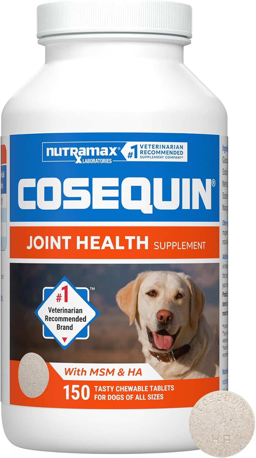 Nutramax Cosequin Joint Supplement for Dogs, MSM+HA, Chew Tablets, 250ct