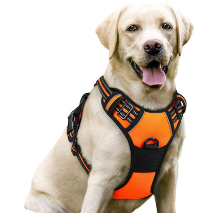 rabbitgoo Dog Harness, No Pull for Large Dogs with 2 Leash Clips, Pet Vest