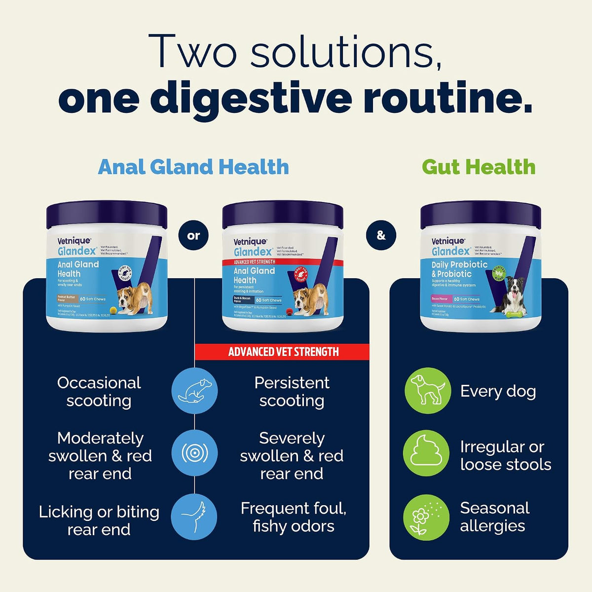 Vetnique Glandex for Dogs Anal Gland Chews 120ct Pumpkin, Digestive Enzymes