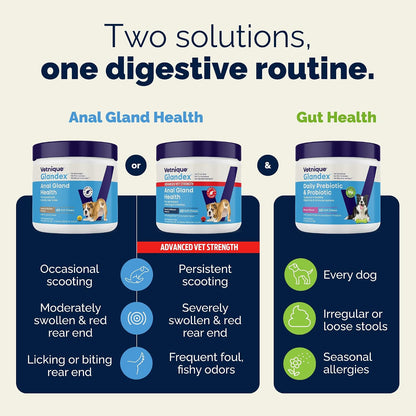 Vetnique Glandex for Dogs Anal Gland Chews 120ct Pumpkin, Digestive Enzymes