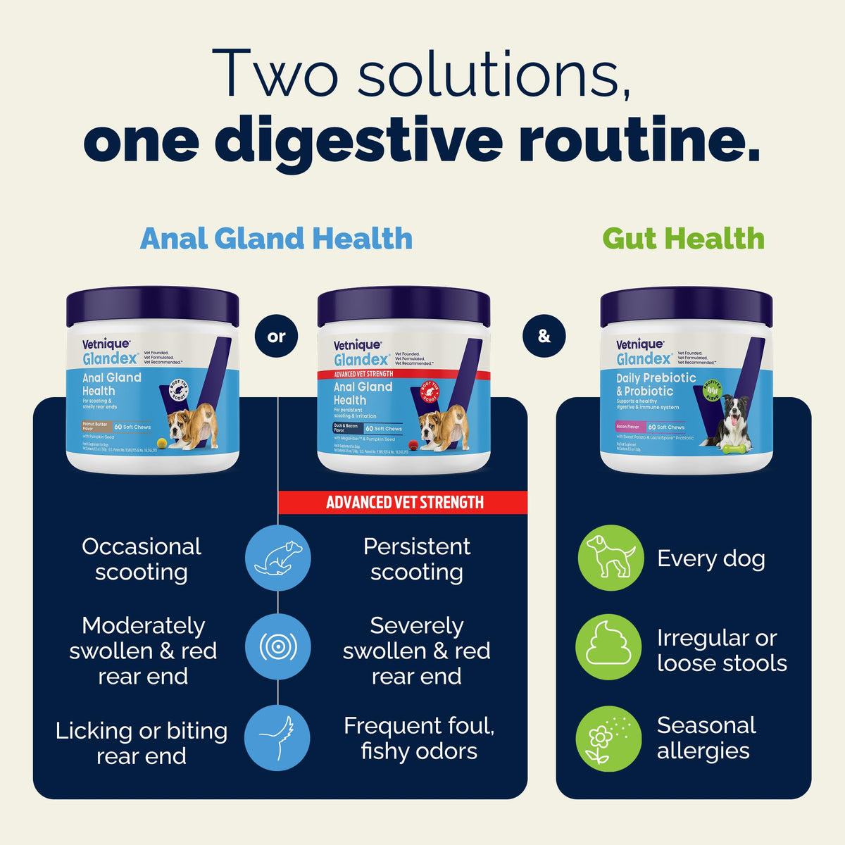 Vetnique Glandex for Dogs Anal Gland Chews 120ct Pumpkin, Digestive Enzymes