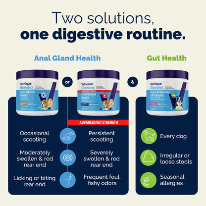 Vetnique Glandex for Dogs Anal Gland Chews 120ct Pumpkin, Digestive Enzymes