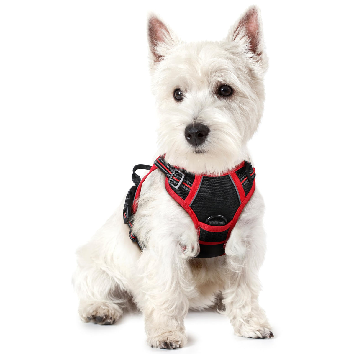 rabbitgoo Dog Harness, No Pull for Large Dogs with 2 Leash Clips, Pet Vest