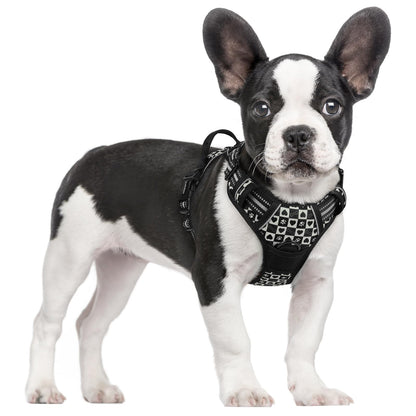 rabbitgoo Dog Harness, No Pull for Large Dogs with 2 Leash Clips, Pet Vest