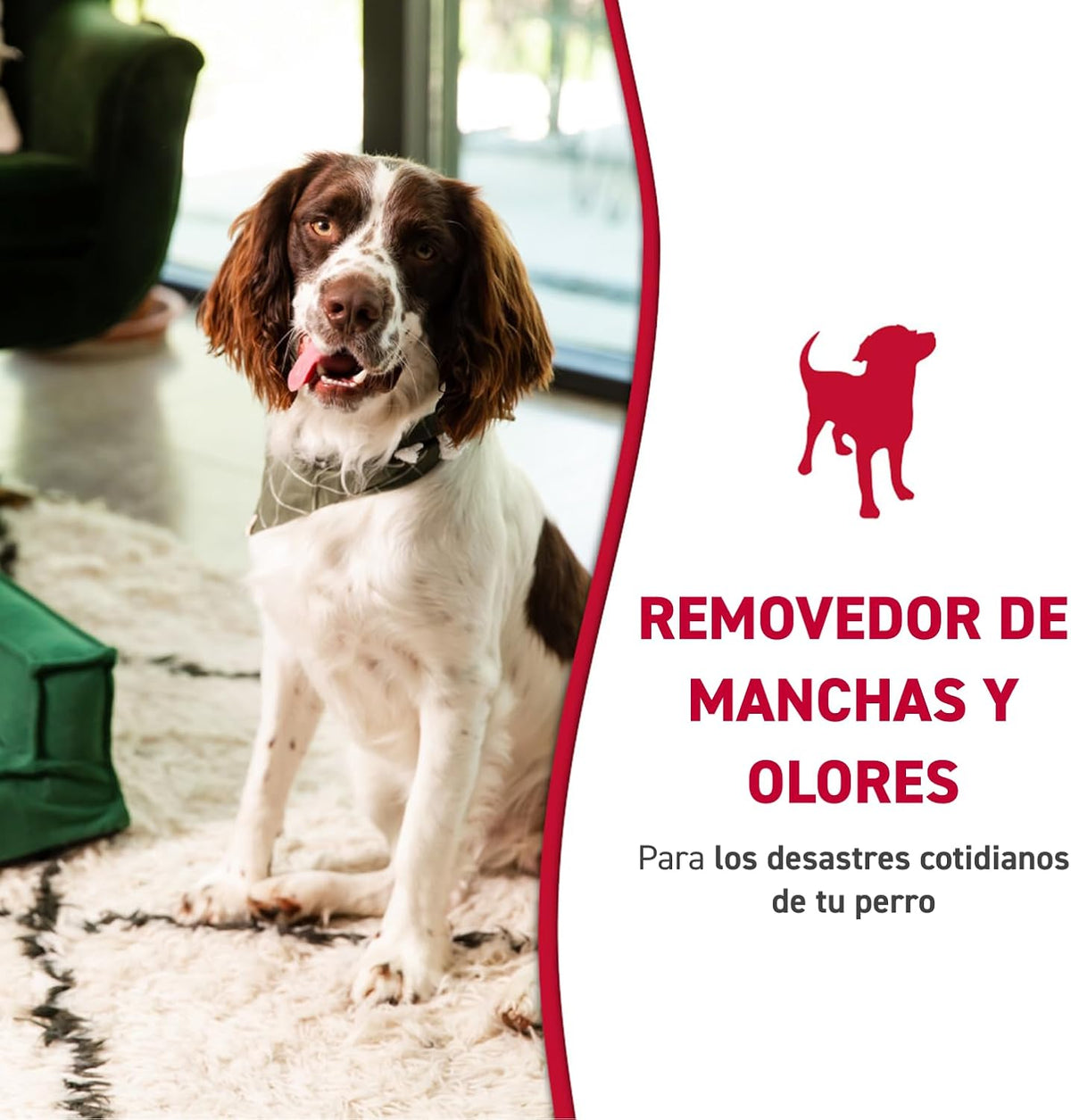 Nature’s Miracle Dog Stain & Odor Remover, Enzymatic Cleaner, 32 oz