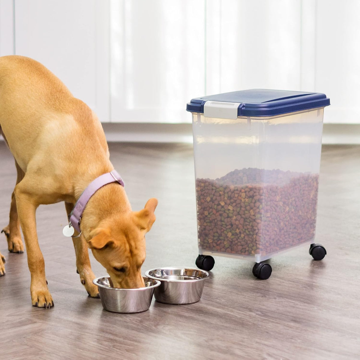 IRIS USA Dog Food Storage Container, Up to 10 lbs, Clear/Gray, Made in USA