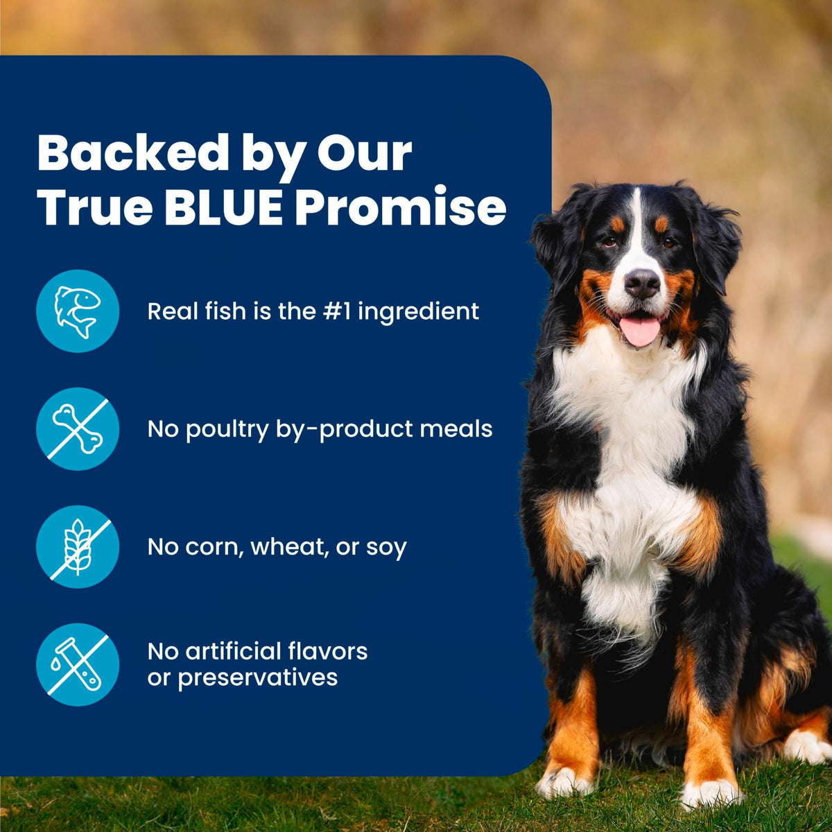 Blue Buffalo Life Protection Formula Chicken Adult Dry Dog Food, 30 lb