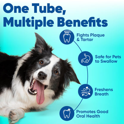 C.E.T. Enzymatic Toothpaste for Dogs and Cats, Poultry, 2.5oz