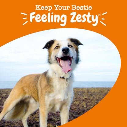 Zesty Paws Dog Vitamins - Dog Multivitamins with Hemp - Chicken, 90 Ct