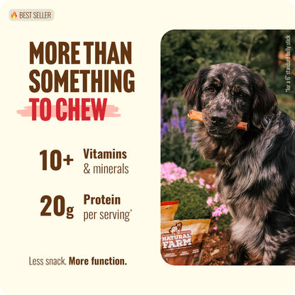Natural Farm Odor-Free Bully Sticks (4-8”, 16oz) ALL-NATURAL Long-Lasting Chews, 100% Beef Pizzle, Grass-Fed, Grain-Free, Hormone-Free, Protein for Muscle Development & Energy, Perfect For Medium Dogs