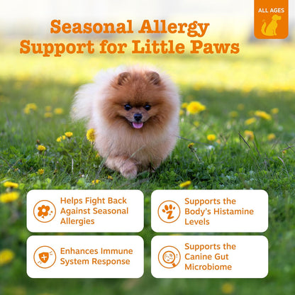 Zesty Paws Dog Allergy Chews - Dog Allergy Relief, Lamb, 90 Ct