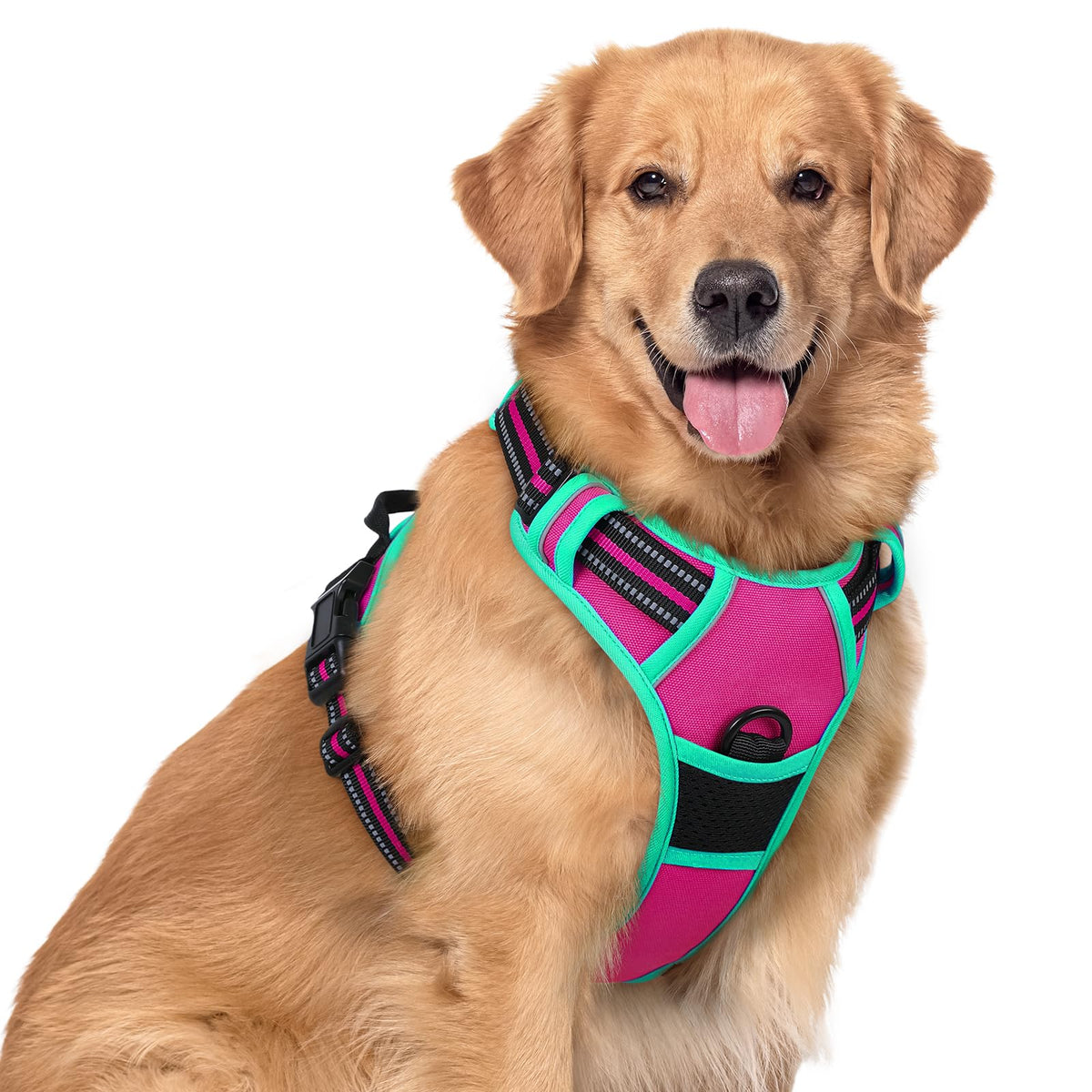 rabbitgoo Dog Harness, No Pull for Large Dogs with 2 Leash Clips, Pet Vest