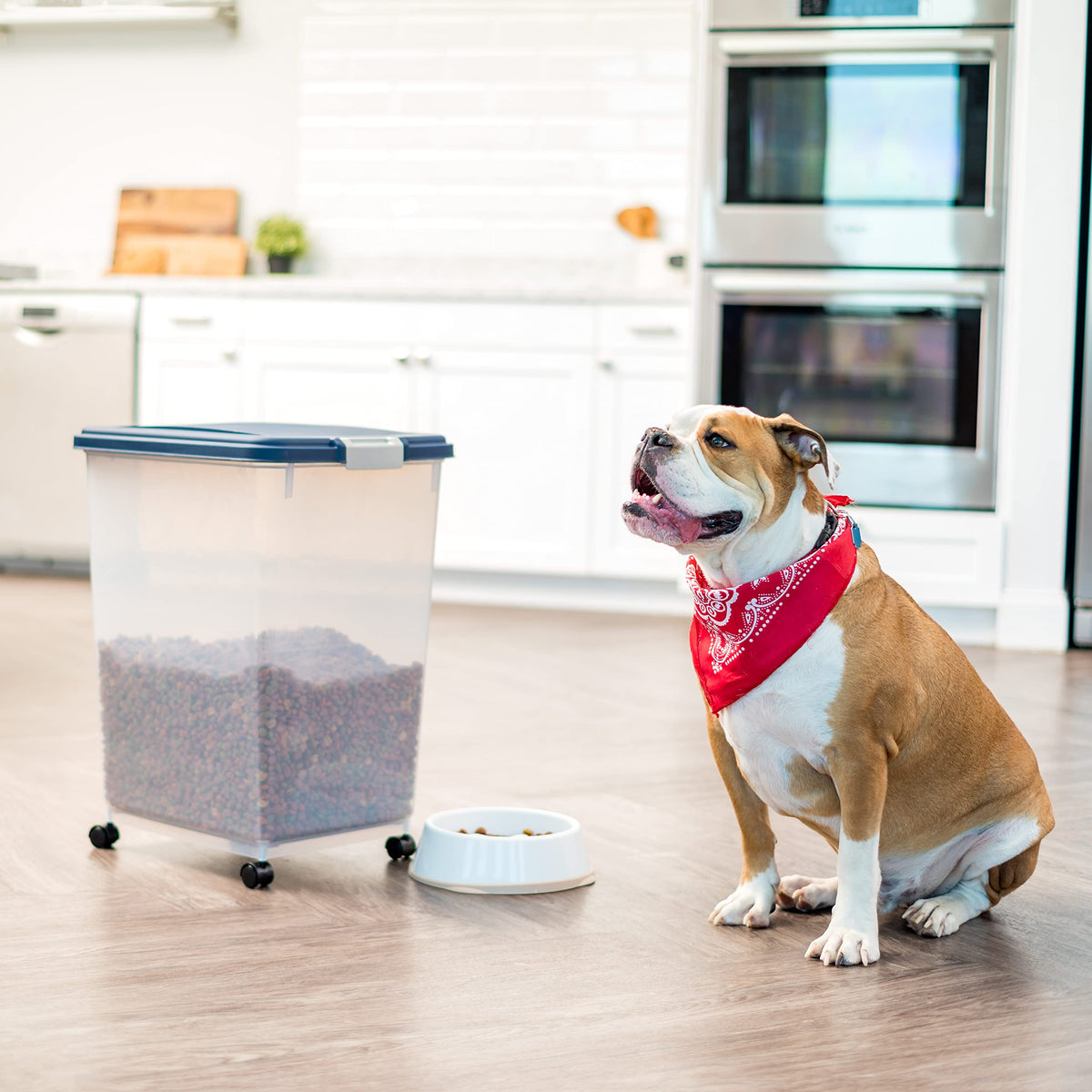 IRIS USA Dog Food Storage Container, Up to 10 lbs, Clear/Gray, Made in USA