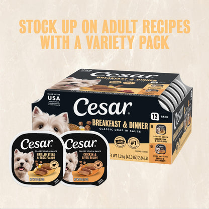 Cesar Classic Loaf in Sauce Wet Dog Food, Meaty Selects, 3.5 oz, 36 Count