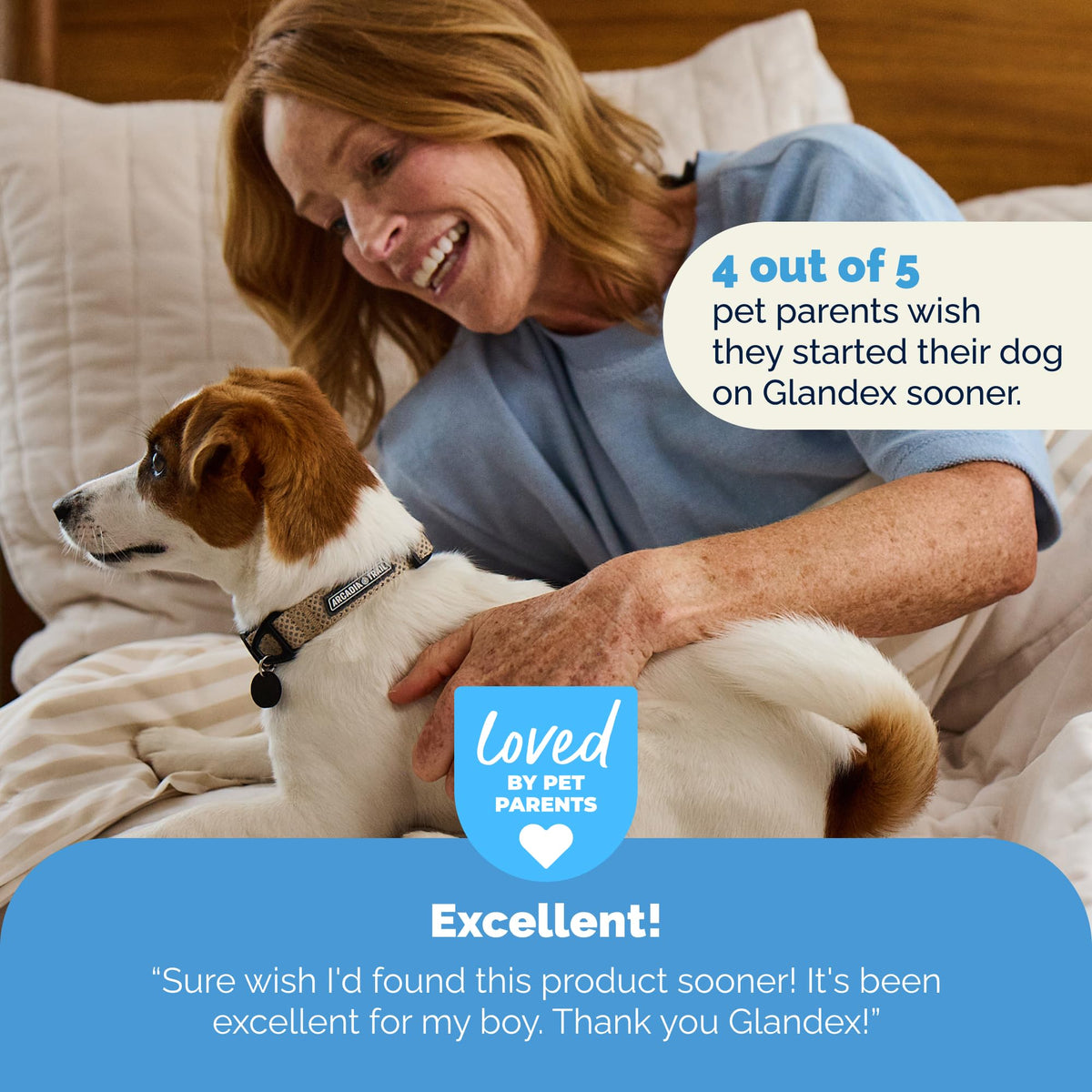 Vetnique Glandex for Dogs Anal Gland Chews 120ct Pumpkin, Digestive Enzymes