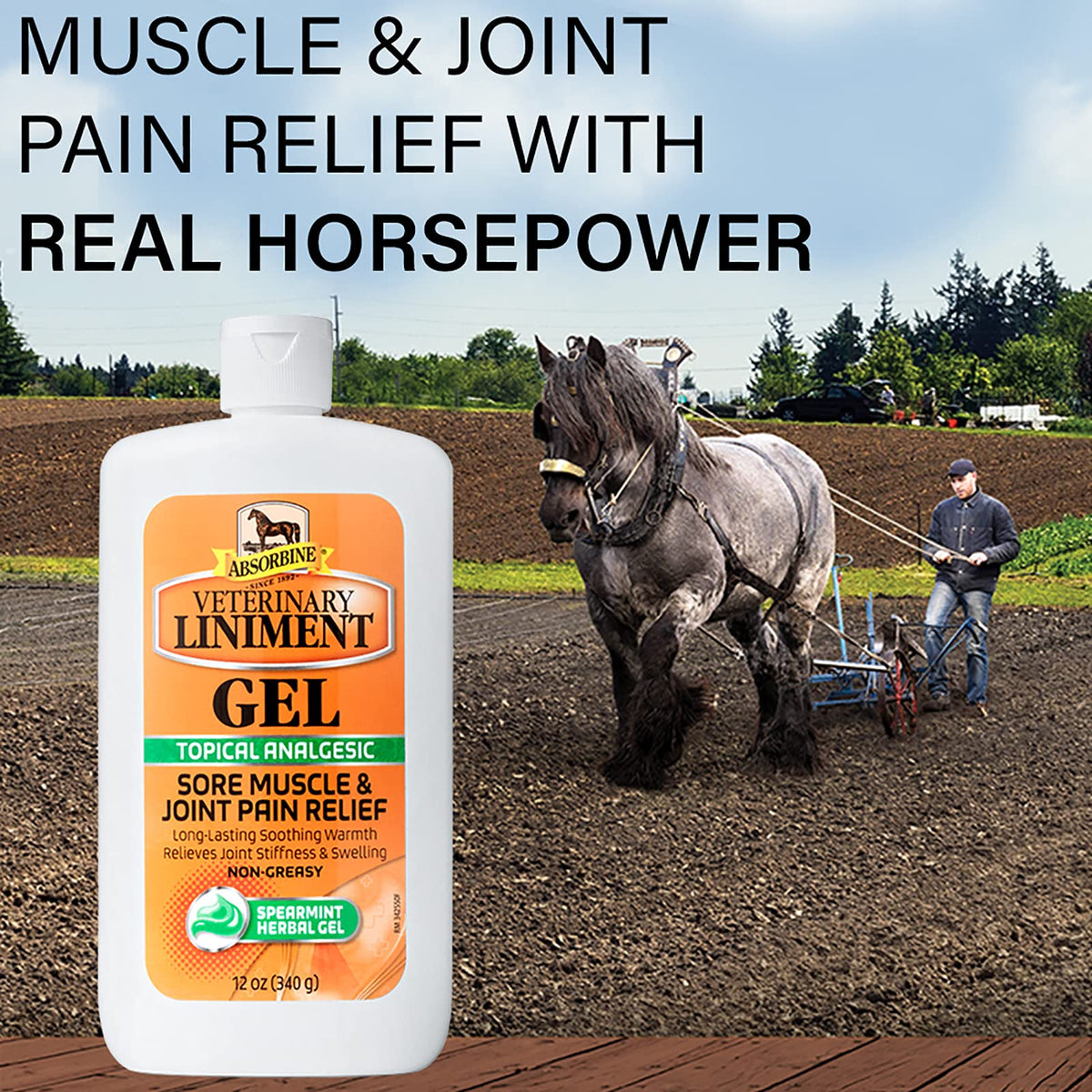 Absorbine Veterinary Liniment Gel, Combo 12 oz Value Size +3 oz Travel Size