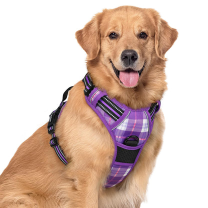 rabbitgoo Dog Harness, No Pull for Large Dogs with 2 Leash Clips, Pet Vest