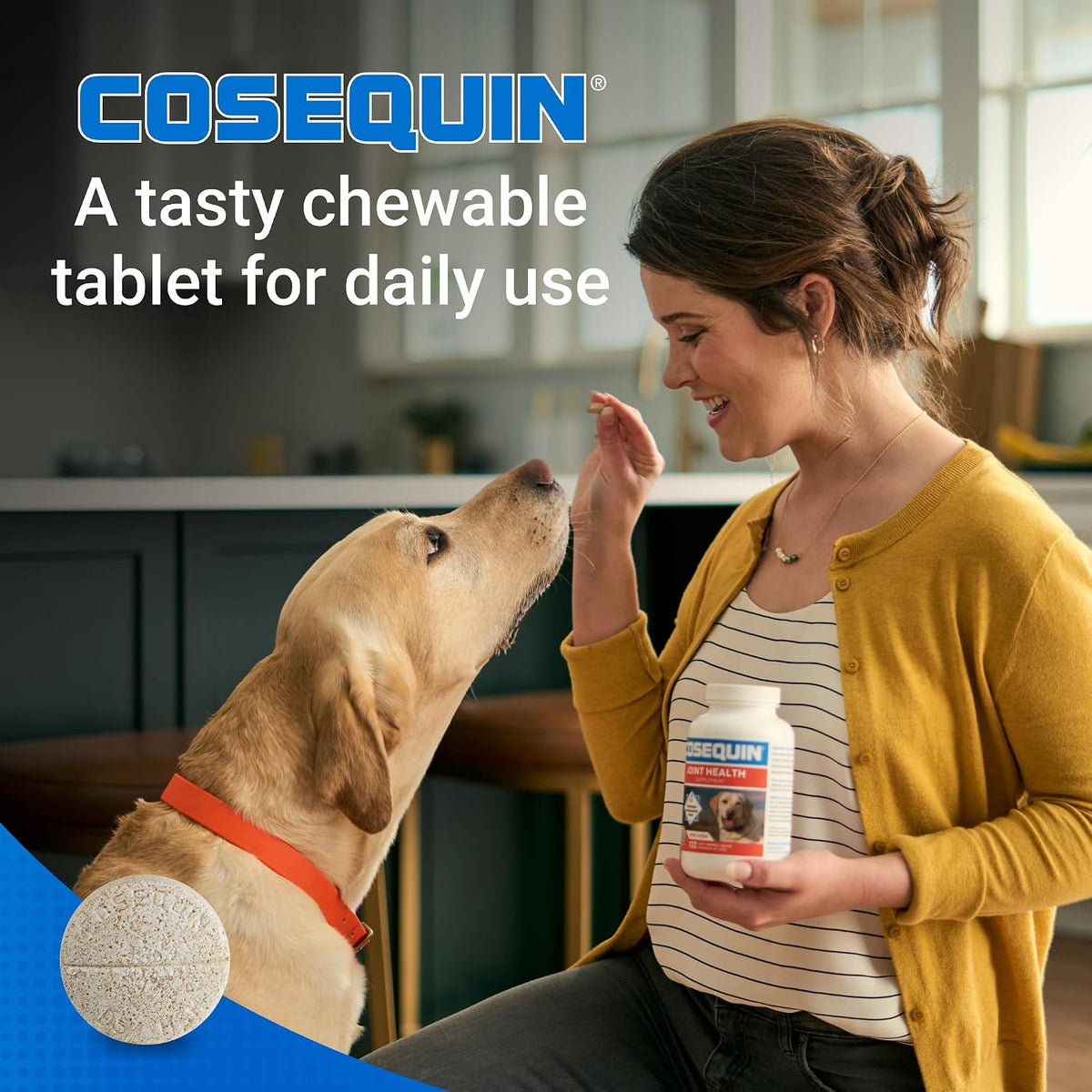 Nutramax Cosequin Joint Supplement for Dogs, MSM+HA, Chew Tablets, 250ct