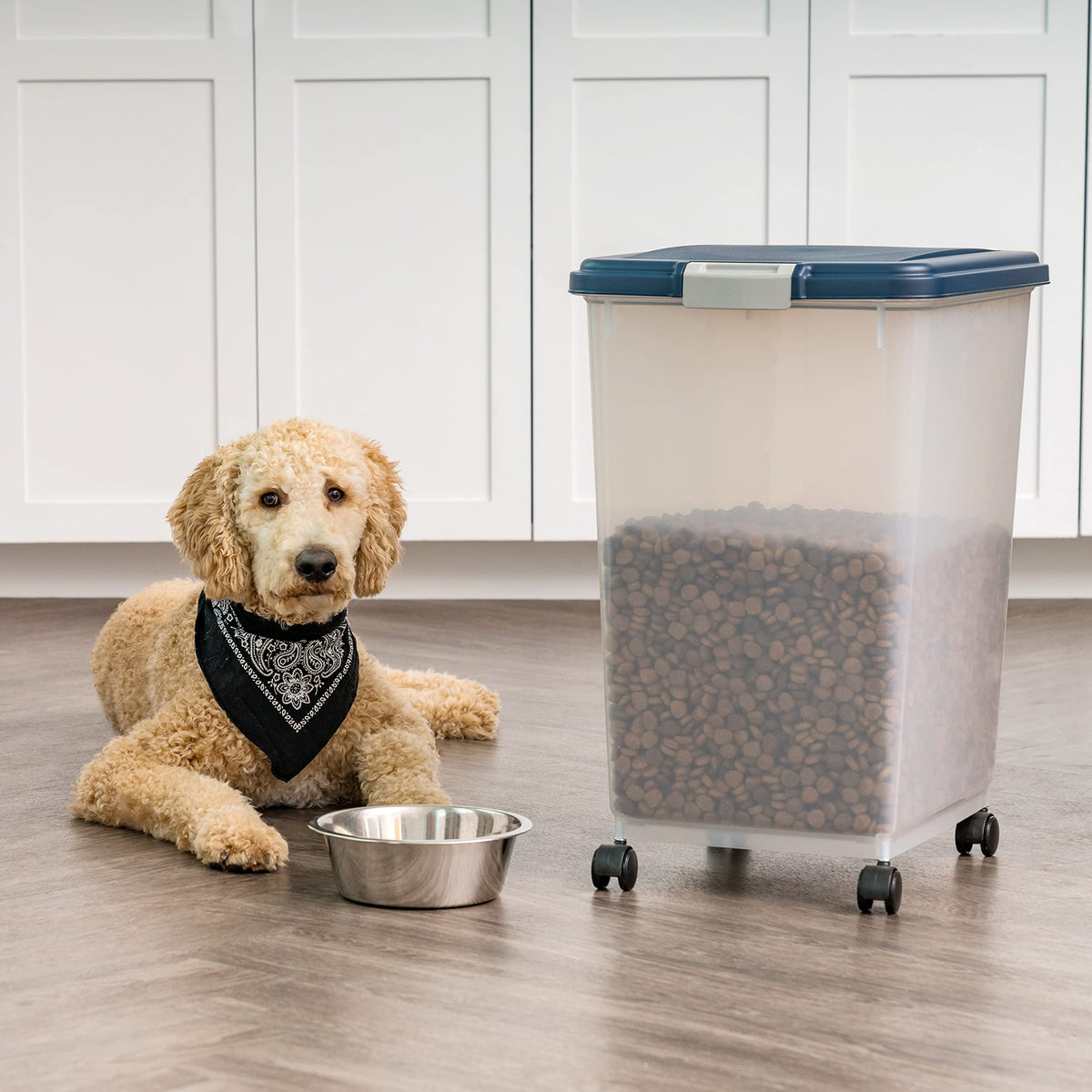 IRIS USA Dog Food Storage Container, Up to 10 lbs, Clear/Gray, Made in USA