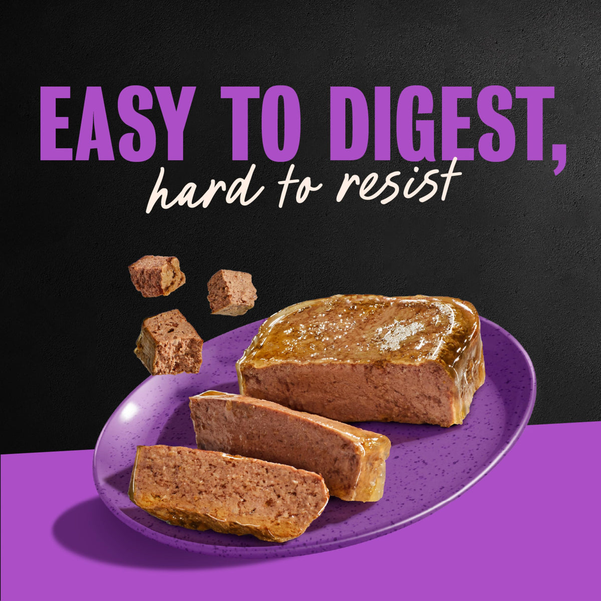 Cesar Classic Loaf in Sauce Wet Dog Food, Meaty Selects, 3.5 oz, 36 Count