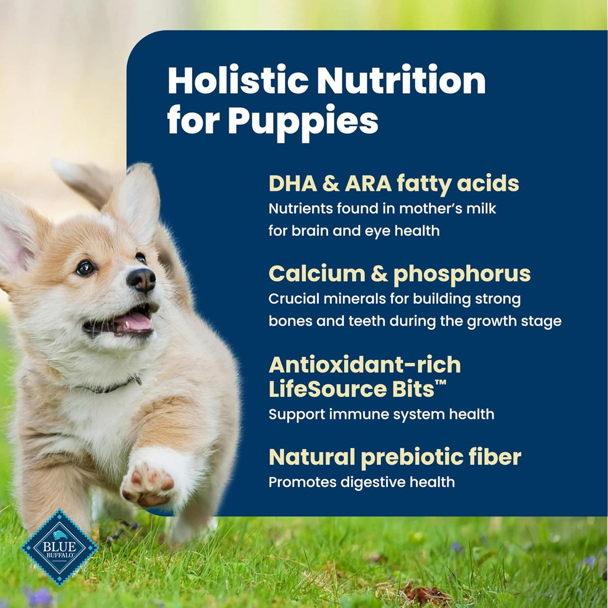 Blue Buffalo Life Protection Formula: A Great Start for Your Puppy