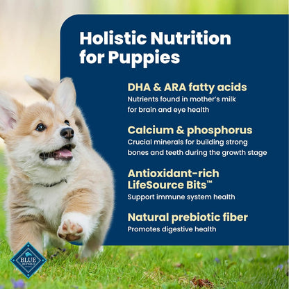 Blue Buffalo Life Protection Formula: A Great Start for Your Puppy