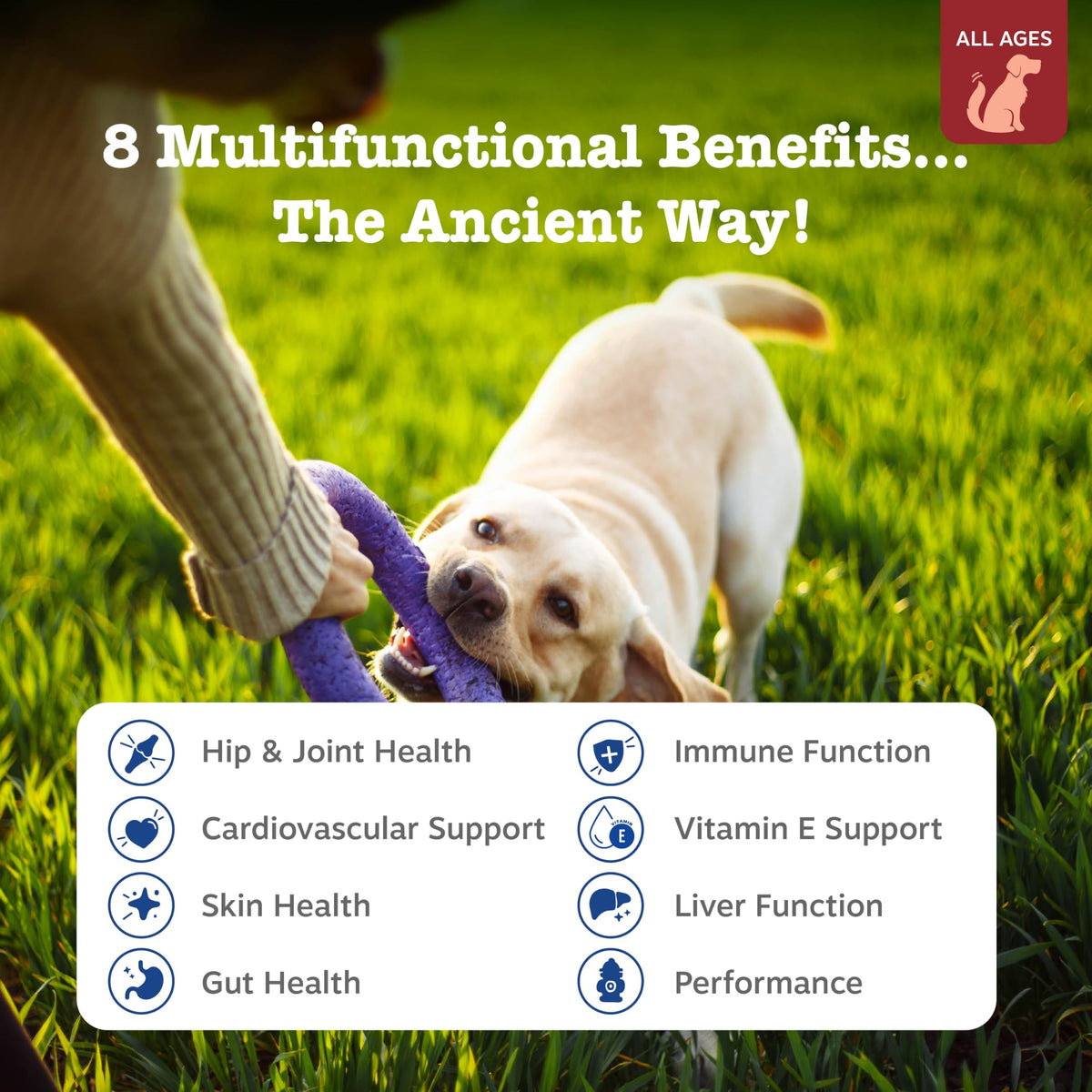 Zesty Paws Dog Vitamins - Dog Multivitamins with Hemp - Chicken, 90 Ct