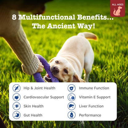 Zesty Paws Dog Vitamins - Dog Multivitamins with Hemp - Chicken, 90 Ct