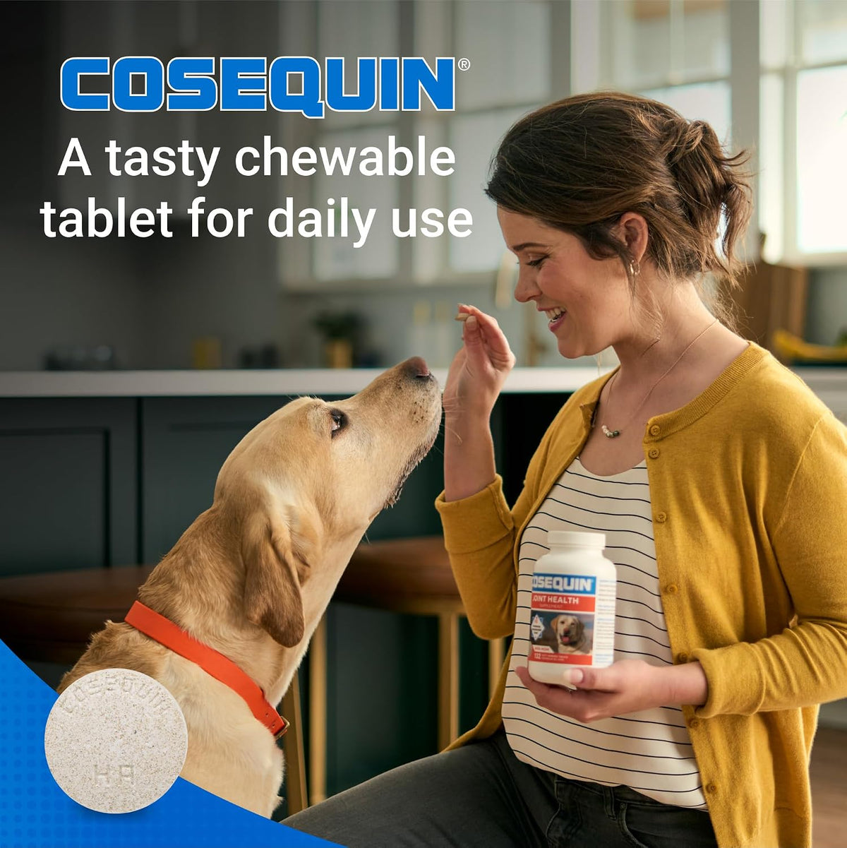 Nutramax Cosequin Joint Supplement for Dogs, MSM+HA, Chew Tablets, 250ct
