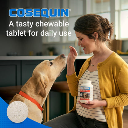 Nutramax Cosequin Joint Supplement for Dogs, MSM+HA, Chew Tablets, 250ct