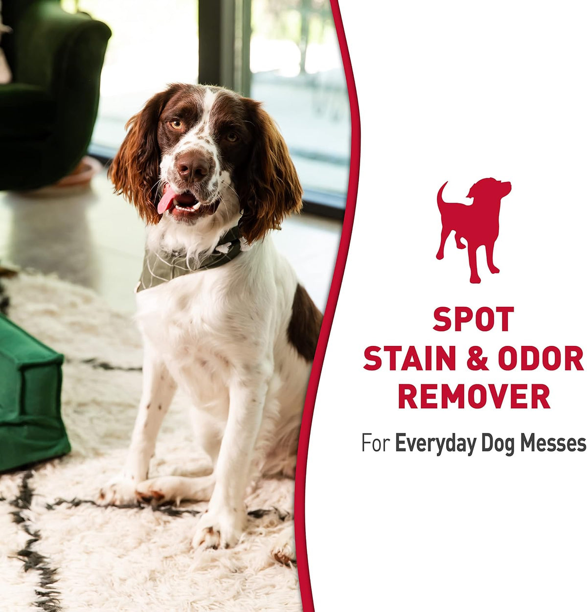 Nature’s Miracle Dog Stain & Odor Remover, Enzymatic Cleaner, 32 oz
