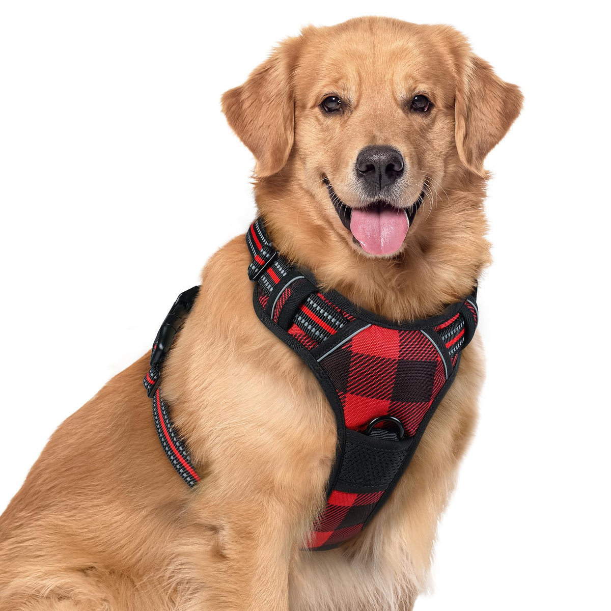 rabbitgoo Dog Harness, No Pull for Large Dogs with 2 Leash Clips, Pet Vest